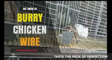 Should You Bury Chicken Wire? Essential Tips for Effective Installation