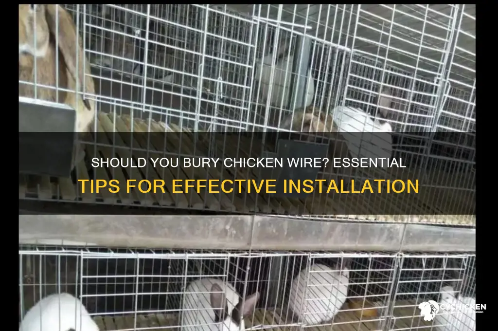do i need to burry chicken wire