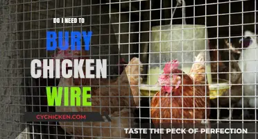 Should You Bury Chicken Wire? Essential Tips for Garden Protection