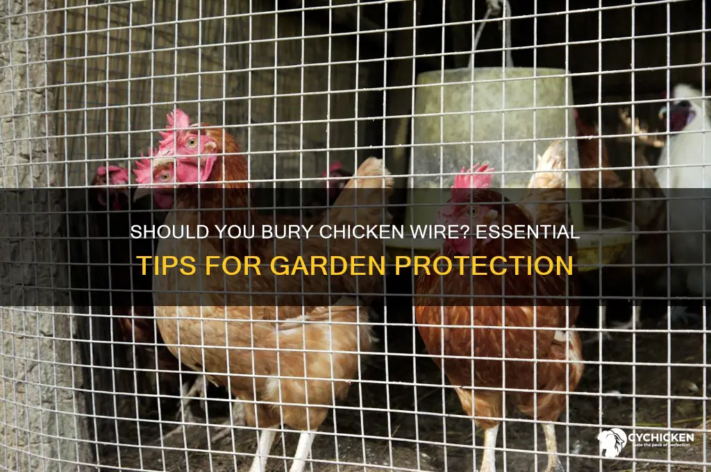 do i need to bury chicken wire
