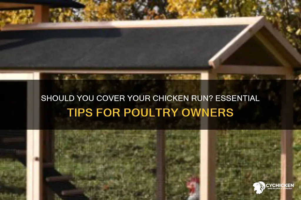 do i need to cover my chicken run