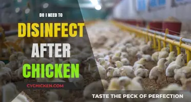Disinfecting After Handling Chicken: Essential Steps for Food Safety
