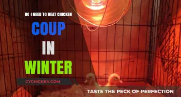 Heating Chicken Coops in Winter: Yes or No?