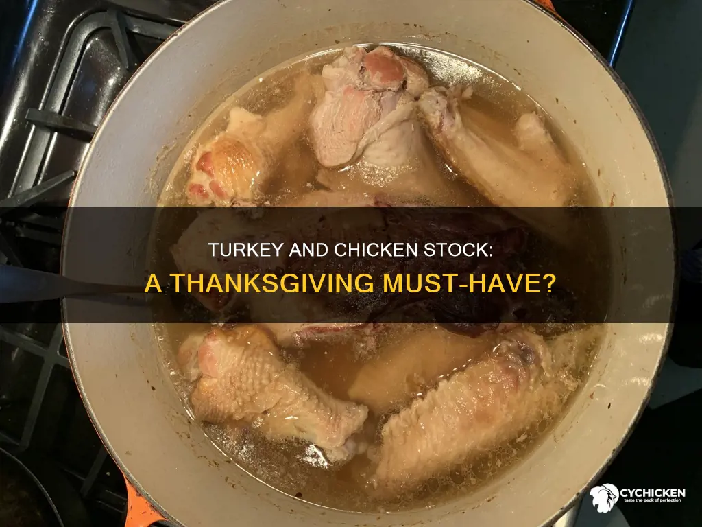do i need to put chicken stock on thankgiving turkey