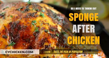 Sanitize Sponges: Chicken Safety Basics