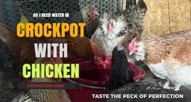 Crockpot Chicken: Water Needed or Not? A Simple Guide