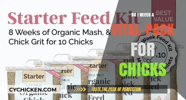 Essential Chick Care: Do You Really Need a Vital-Pack?