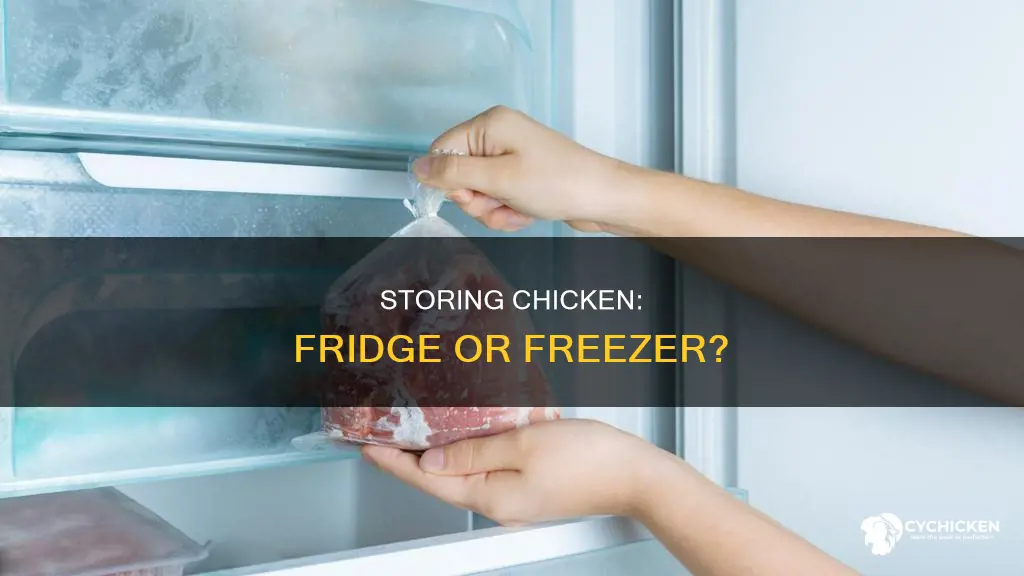 do i put chicken in the fridge or freezer