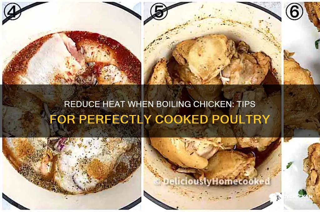 do i reduce heat when boiling chicken