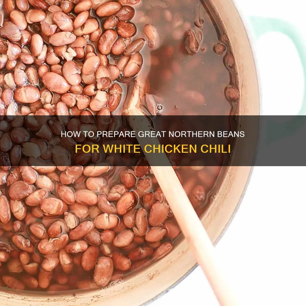do i rinse great northern beans for white chicken chilli