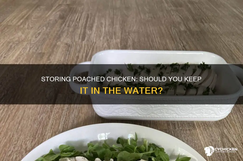 do i store poached chicken in the water
