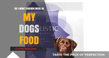 Chicken Meal in Dog Food: Good or Bad?