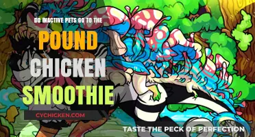 Inactive Pets: The Pound's Fate in Chicken Smoothie