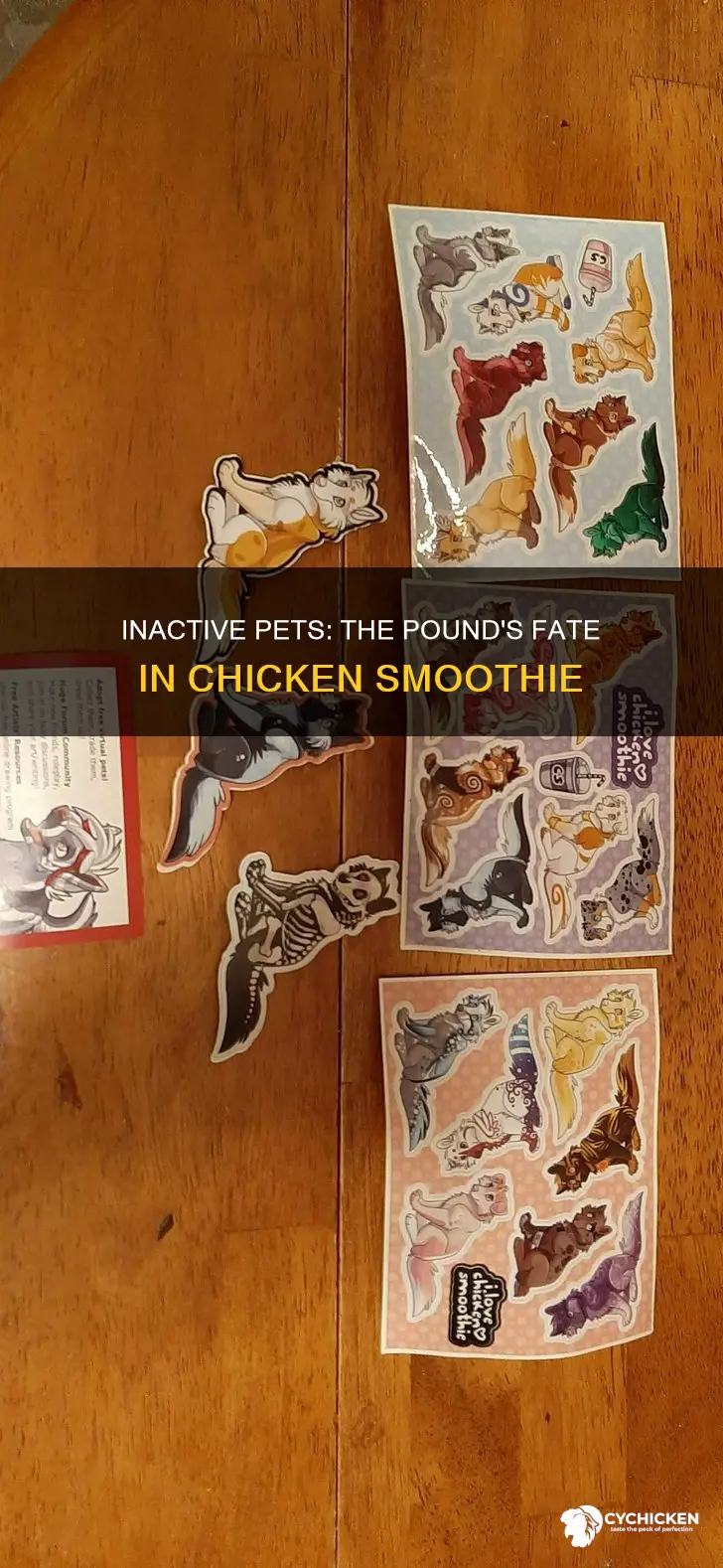 do inactive pets go to the pound chicken smoothie