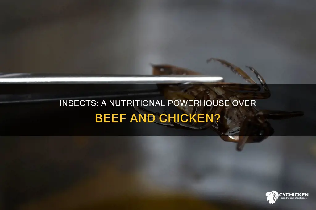 do insects have more nutrional value than beef or chicken