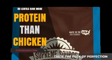 Lentils vs. Chicken: Which Protein Source Packs More Punch?