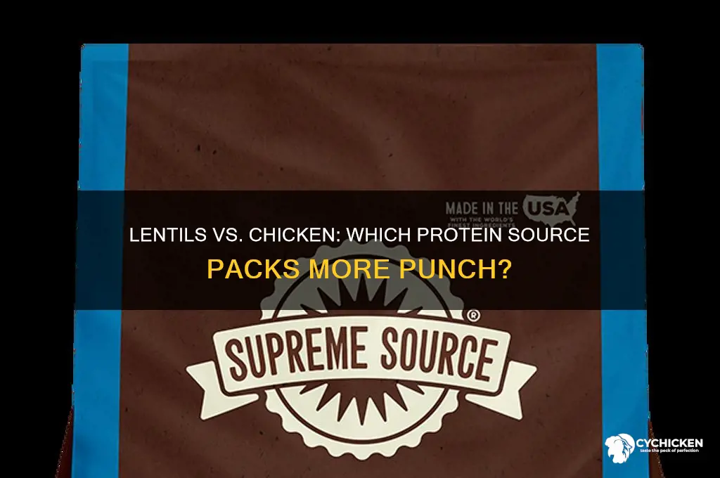 do lentils have more protein than chicken