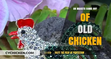 Do Magnets Come Out of Old Chickens? Unraveling the Myth