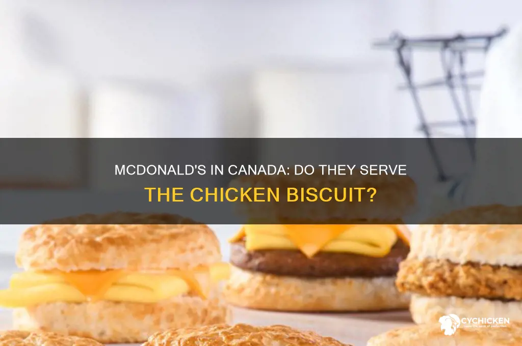 do mcdonalds in kandas have the chicken buscuit