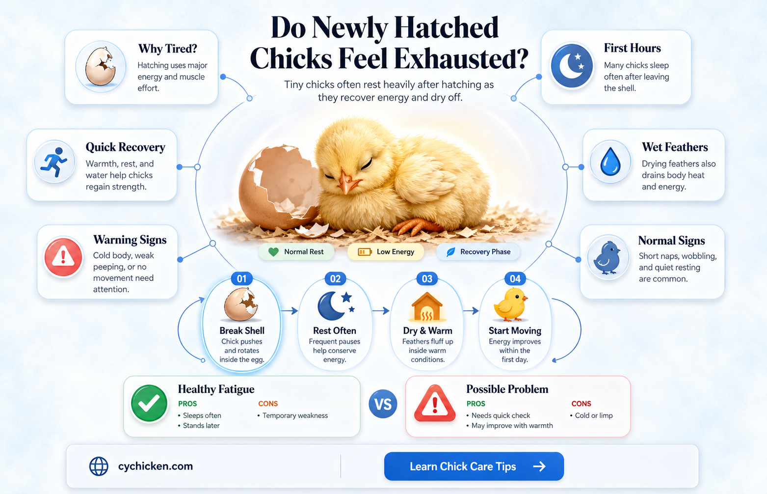 are chicks tired when they first hatch
