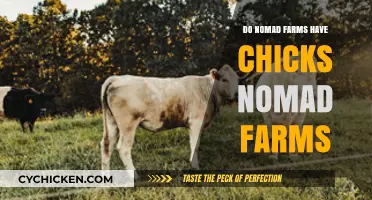 Do Nomad Farms Raise Chicks? Exploring Sustainable Farming Practices