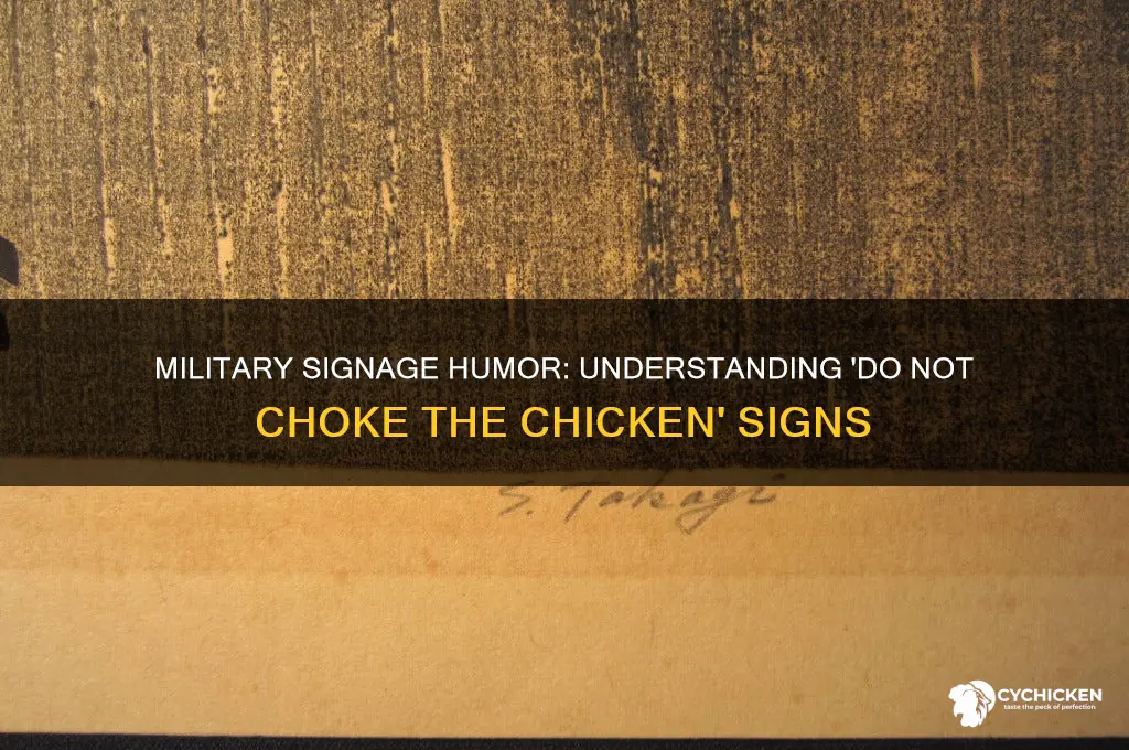 do not choke the chicken military signage
