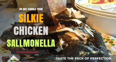 Avoid Salmonella Risks: Why Not to Cuddle Silkie Chickens