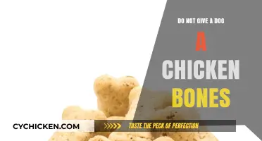 Why Chicken Bones Are Dangerous for Dogs: A Pet Owner's Guide