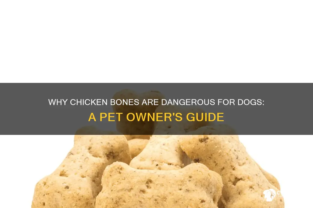 do not give a dog a chicken bones
