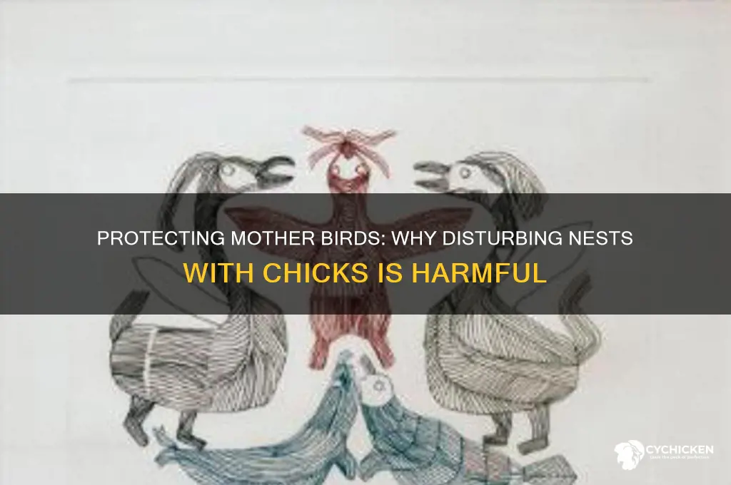 do not take a mother with its chicks