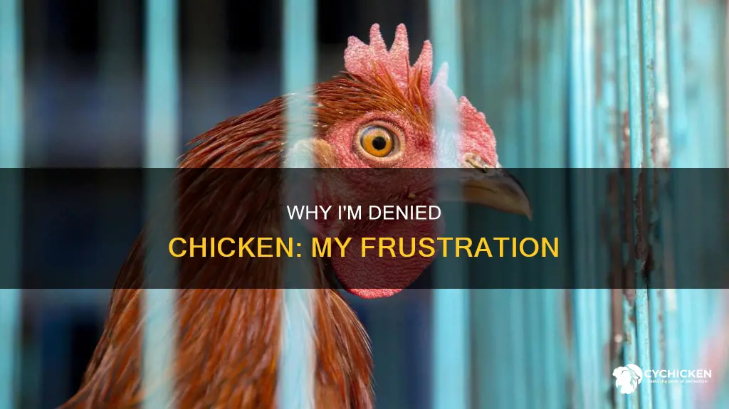 do not understand why i cannot have the chicken