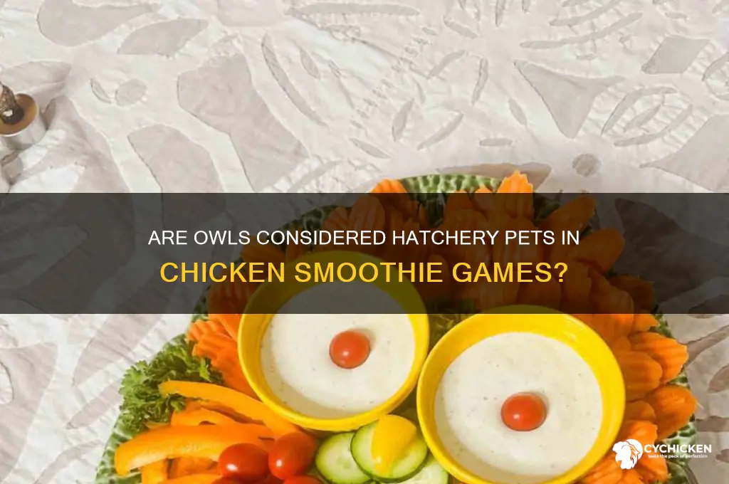 do owls count as hatchery in chicken smoothie