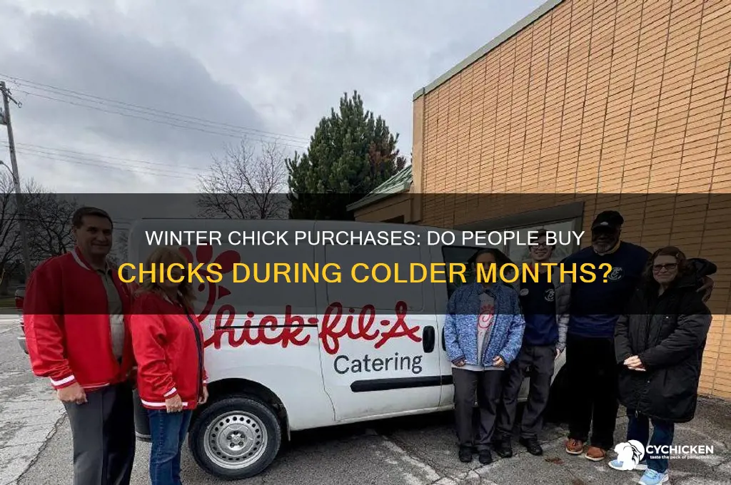 do people buy chicks over the winter
