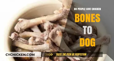 Are Chicken Bones Safe for Dogs? What Pet Owners Need to Know