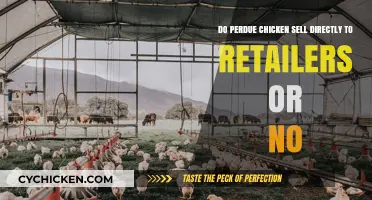 Perdue Chicken's Retail Strategy: Direct or Indirect?