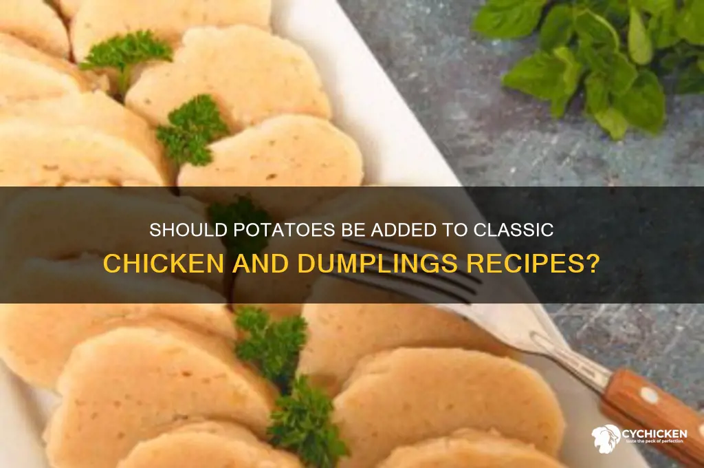 do potatoes go in chicken and dumplings