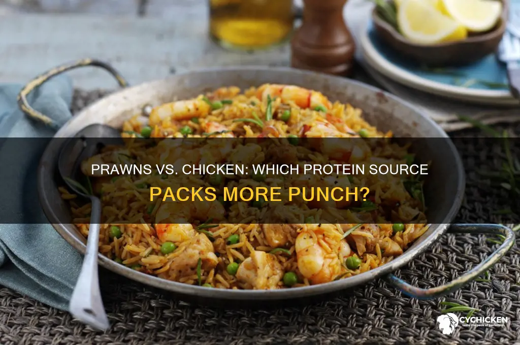 do prawns have more protein than chicken
