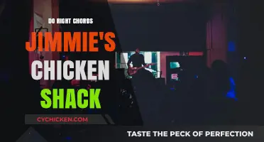 Do Right Chords: Jimmie's Chicken Shack's Hit Deconstructed