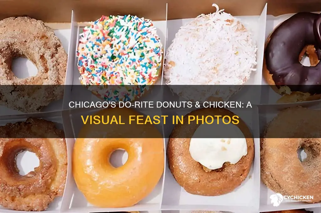 do-rite donuts and chicken chicago photos