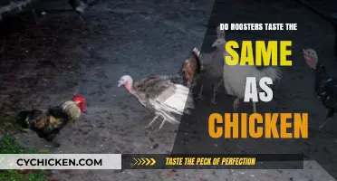 Rooster vs. Chicken: Uncovering the Flavor Differences in Poultry