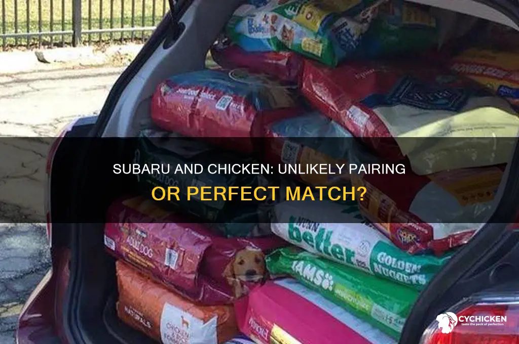 do subaru and chicken end up together