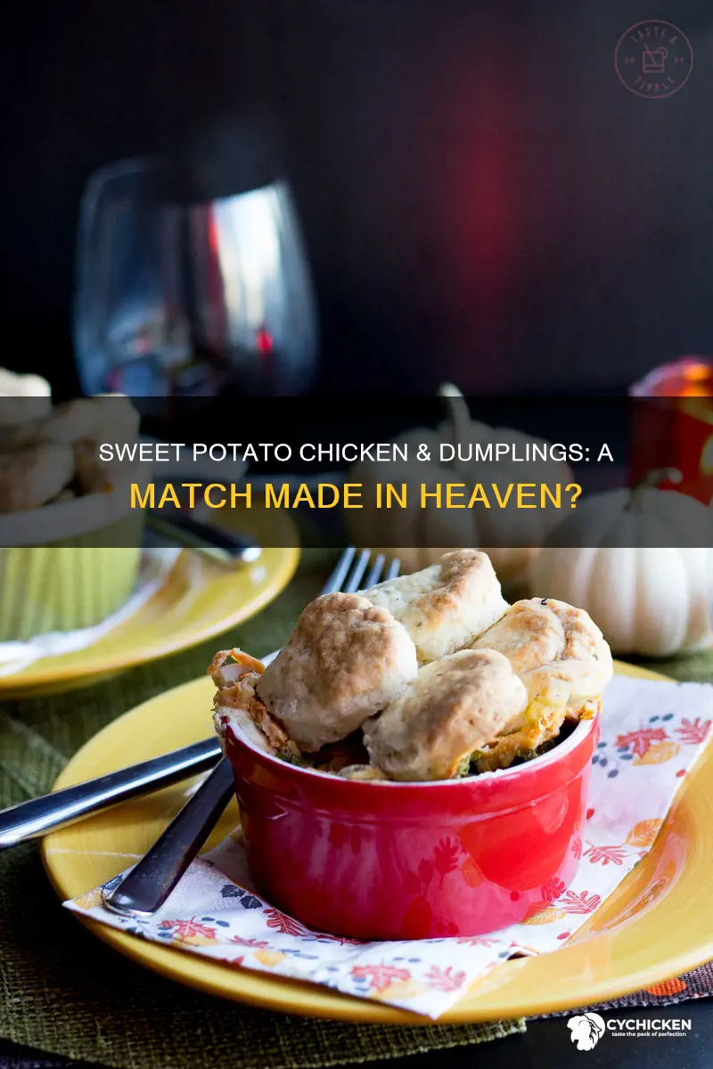 do sweet potatoes go well wiht chicken and dumplings