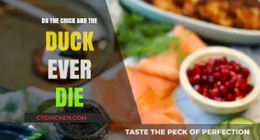 Do the Chick and the Duck Ever Die? Exploring Their Fate