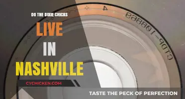 Where Do the Dixie Chicks Reside? Nashville or Elsewhere?