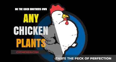 Koch Brothers and the Chicken Industry: Uncovering Ownership Claims