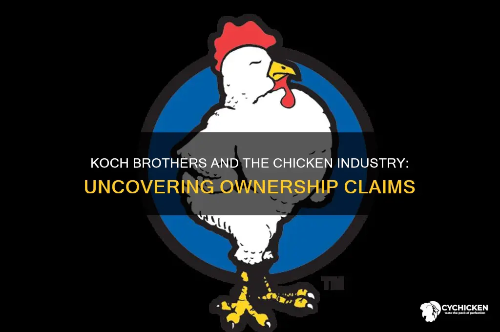 do the koch brothers own any chicken plants