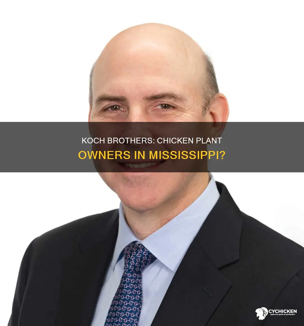 do the koch brothers own chicken processing plants in mississippi