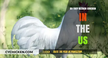 Is US Chicken Bleached? Uncovering the Truth Behind the Rumors
