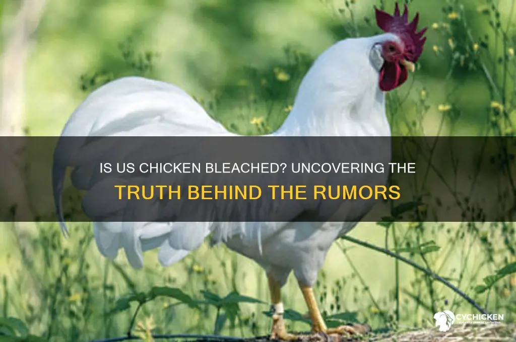 do they bleach chicken in the us