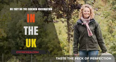 Chicken Vaccination: UK's Approach